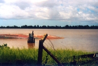 Suriname river1
